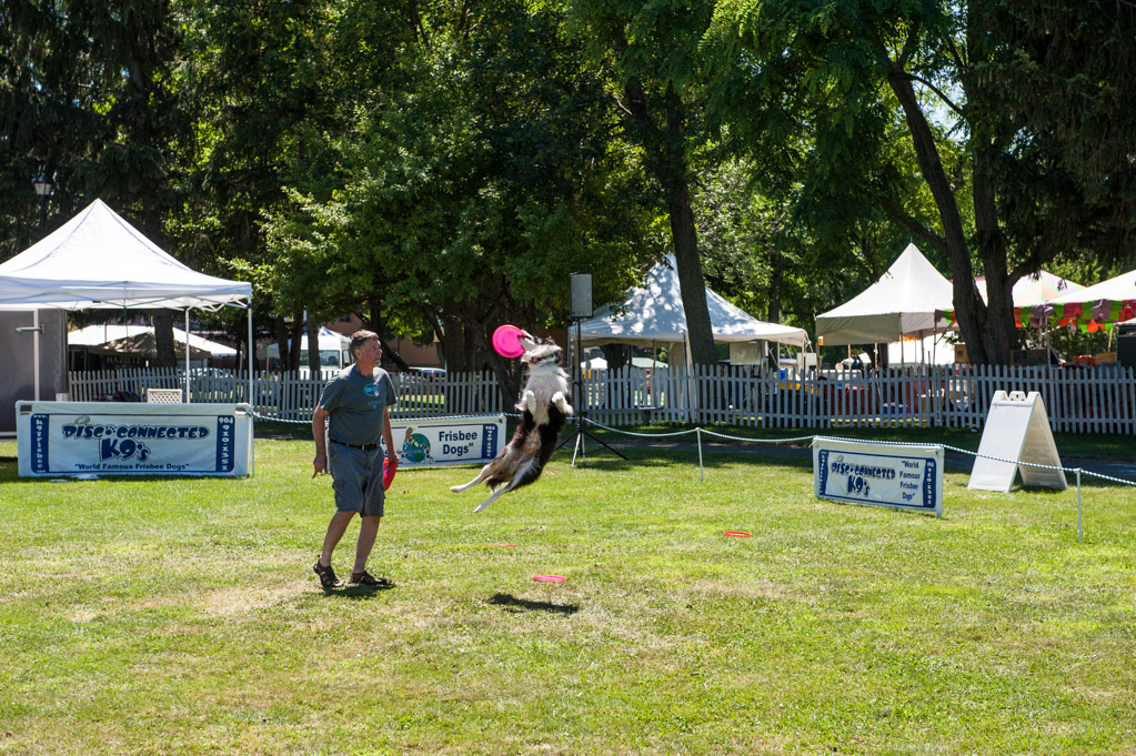 Harborfest 2013