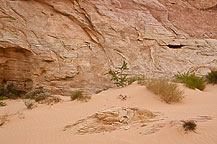 Valley of Fire State Park, NV