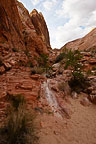 Valley of Fire State Park, NV