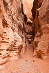 Valley of Fire State Park, NV