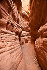 Valley of Fire State Park, NV