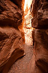 Valley of Fire State Park, NV