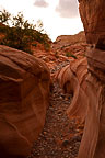 Valley of Fire State Park, NV