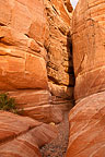 Valley of Fire State Park, NV