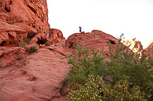 Valley of Fire State Park, NV