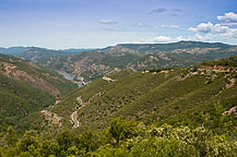 CA Rt 49