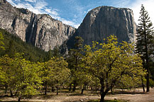 Yosemite National Park