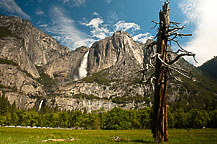 Yosemite National Park