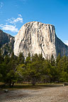 Yosemite National Park