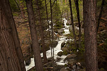 Yosemite National Park