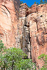 Zion National Park, UT