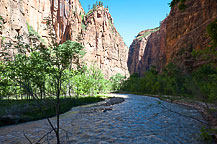 Zion National Park, UT