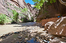 Zion National Park, UT