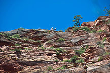 Zion National Park, UT