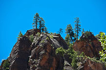 Zion National Park, UT