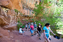 Zion National Park, UT