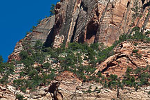 Zion National Park, UT