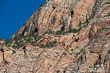 Zion National Park, UT