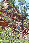 Angel's Landing Trail, Zion National Park, UT