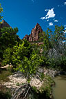 Zion National Park, UT