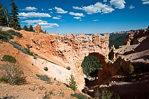 Bryce Canyon National Park    Bryce Canyon National Park    Bryce Canyon National Park    Bryce Canyon National Park    