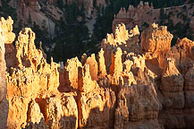 Bryce Canyon National Park    Bryce Canyon National Park    Bryce Canyon National Park    Bryce Canyon National Park    