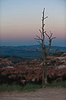 Bryce Canyon National Park