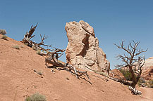 Kodachrome Basin State Park, UT