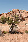 Kodachrome Basin State Park, UT