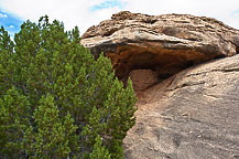 Canynlands National Park, UT