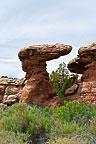 Rock, Canyonlands