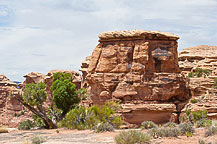 Rock, Canyonlands