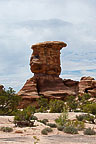 Rock, Canyonlands