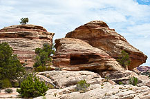 Rock, Canyonlands