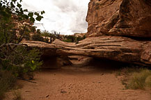 Hike to Hickman Bridge