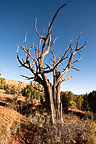 Kodachrome Basin State Park, UT