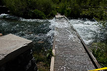 Ricks Spring