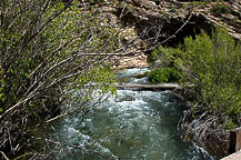 Ricks Spring