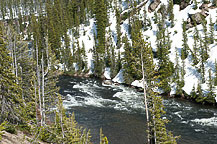 Yellowstone