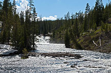 Yellowstone