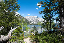 The Grand Tetons