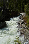 The Grand Tetons