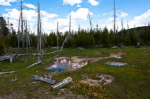 Yellowstone National Park