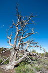 Craters of the Moon National Monument, ID