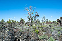 Craters of the Moon National Monument, ID