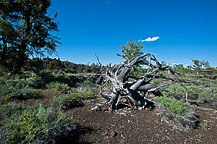 Craters of the Moon National Monument, ID