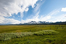 Along Highway 21, Stanley, ID