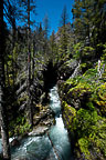 Falls Along Many Glacier Road