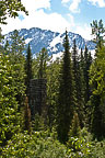 Glacier National Park, BC