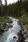 Stream on Lake Louise Road